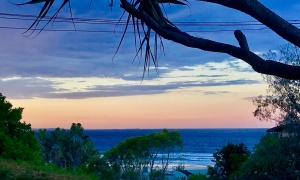 view2