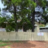 IMG 0902