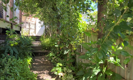 IMG 0955