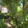 IMG 0955