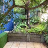 IMG 0960