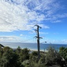 IMG 4054