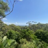 IMG 8885
